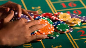 8bets net